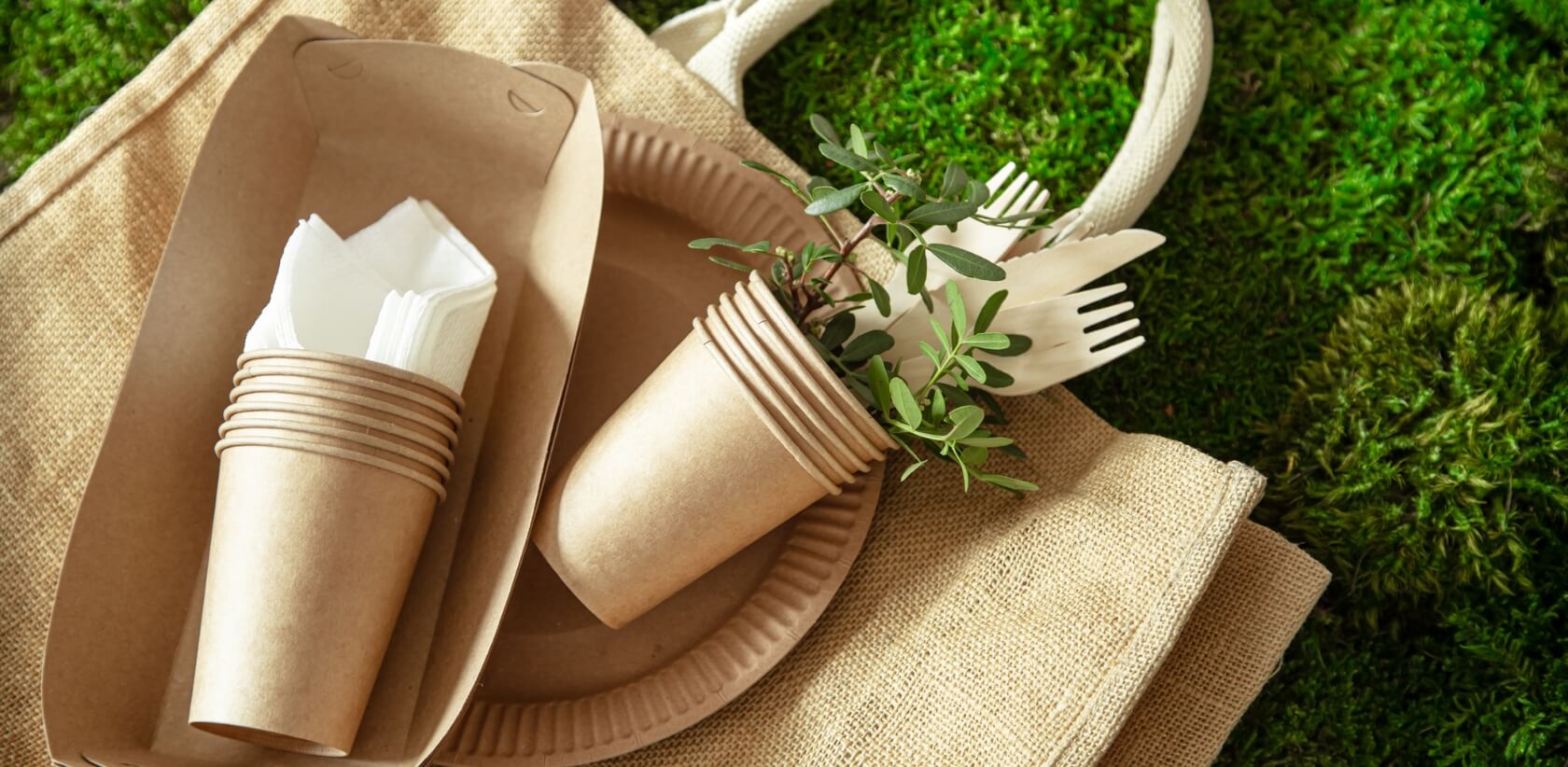 vaisselle jetable en carton, vaisselle jetable pas cher