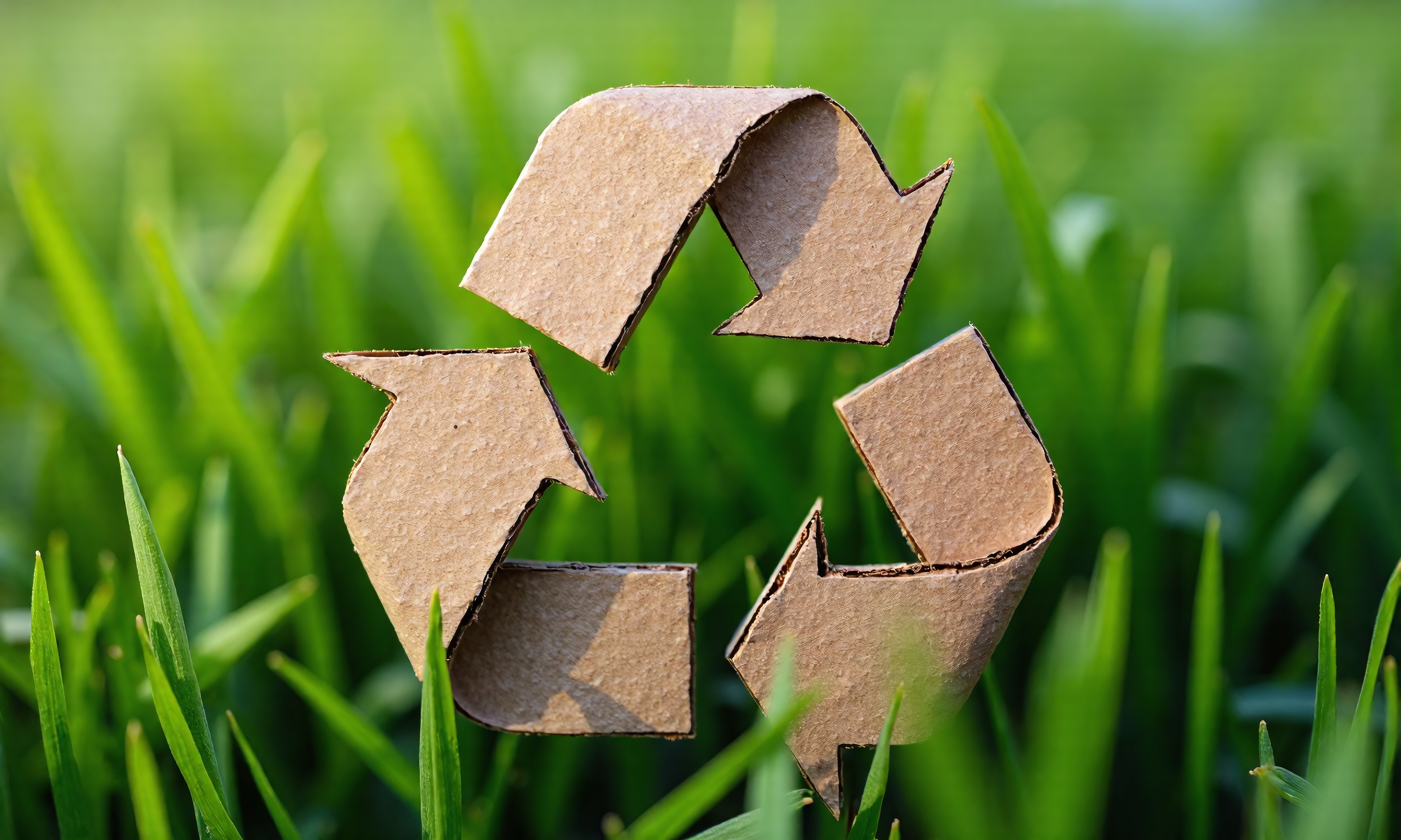 ECOLOGIE