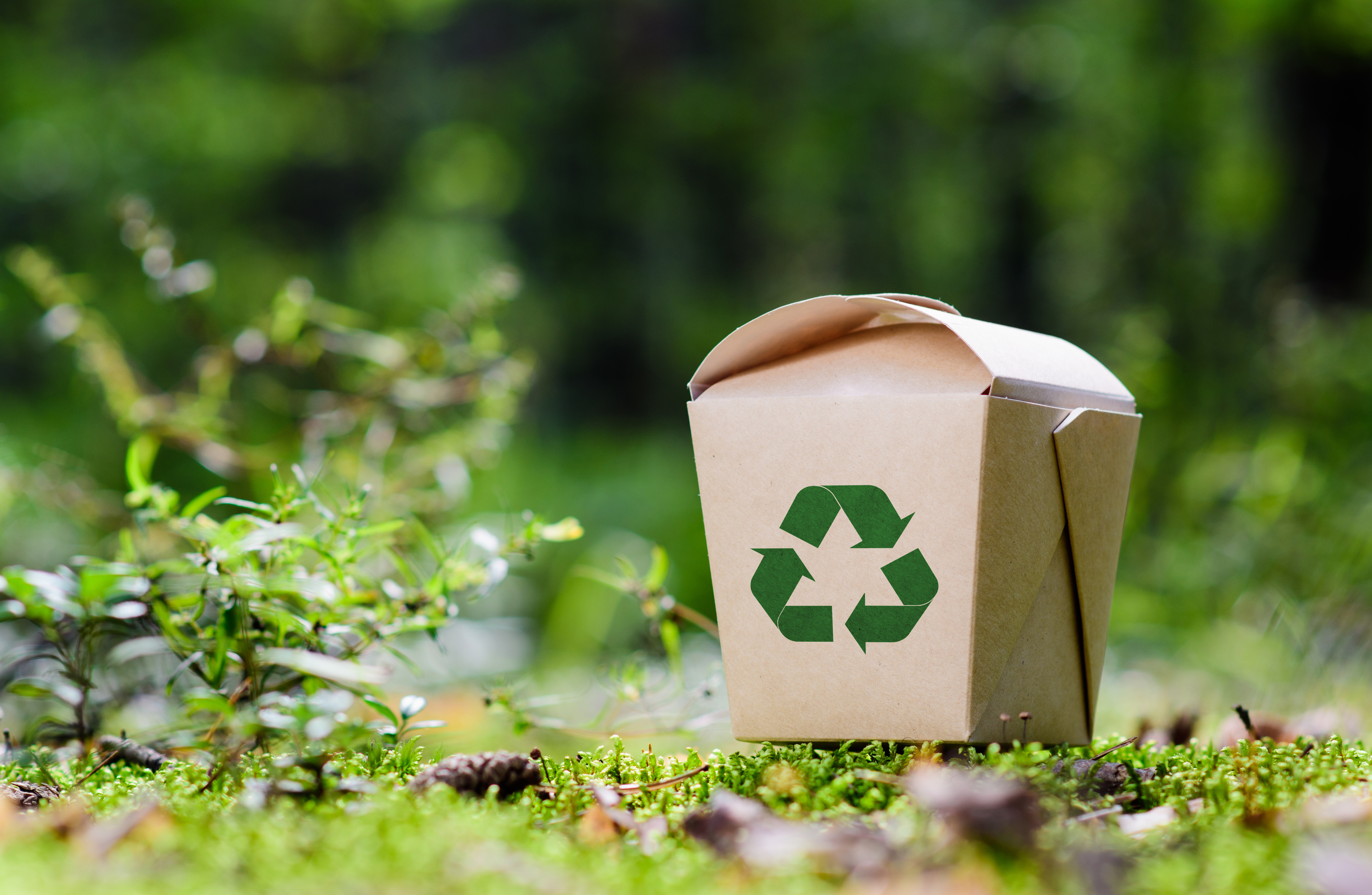ECOLOGIE