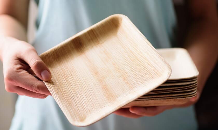 Assiettes en feuilles de palmier