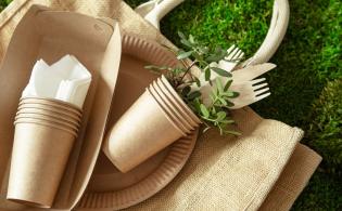 vaisselle jetable en carton, vaisselle jetable pas cher