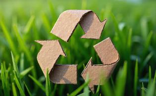 ECOLOGIE