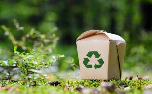 ECOLOGIE