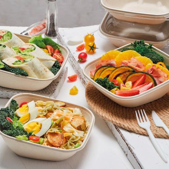 vaisselle en bagasse