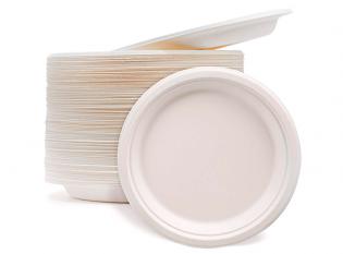 Visuel du produit AK260 - Assiette ronde en Bagasse - Blanc, ø 260mm
