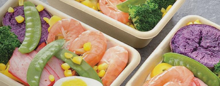 header assiettes en pulpe